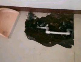 大名卫生间测漏水多少钱